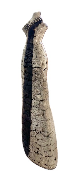 Raku Maasai